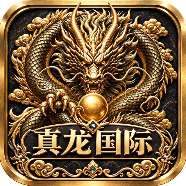 真龙国际